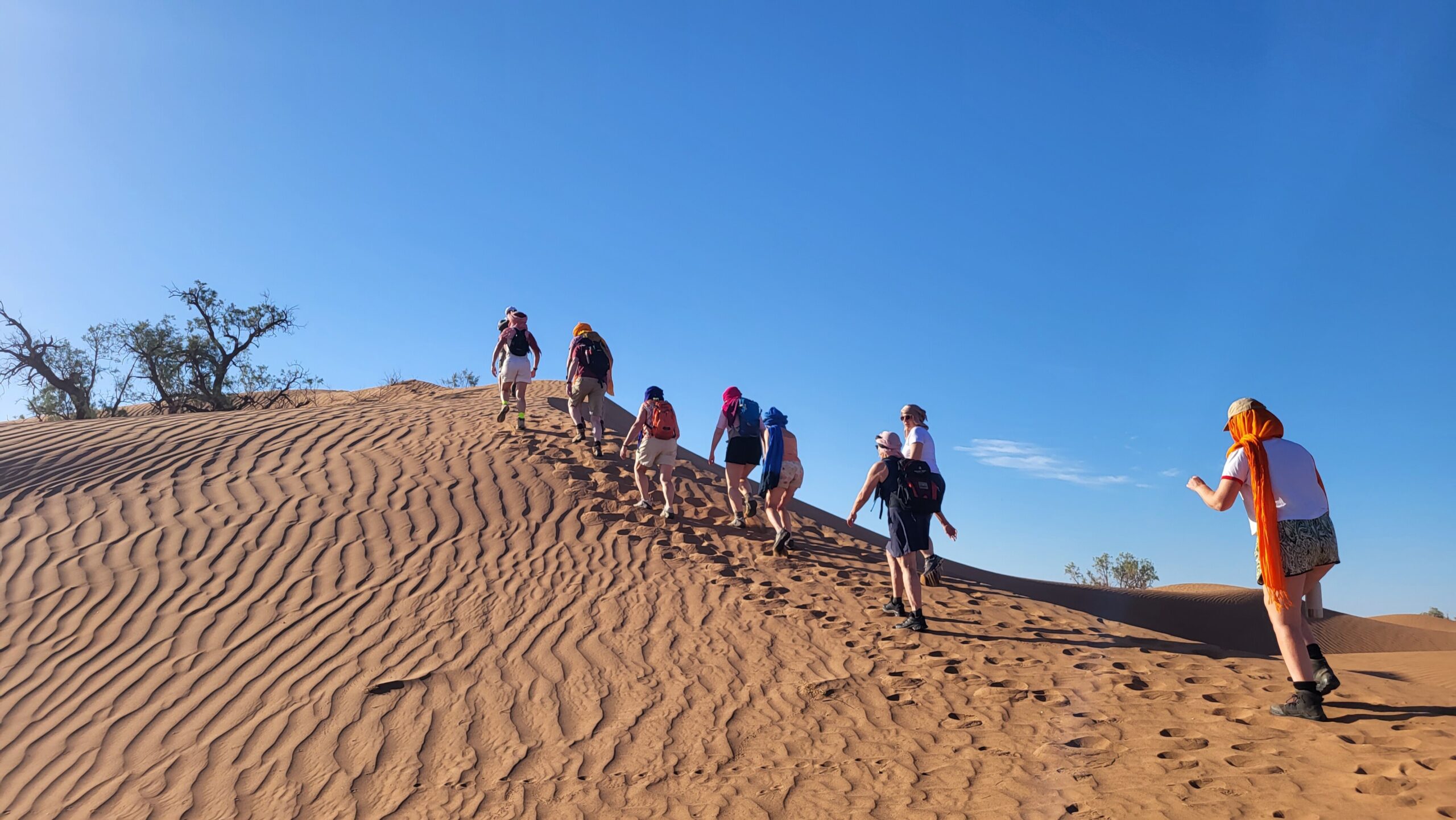 Dag 6: Trekking door de Sahara, laatste dag