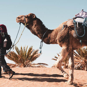 Wandelen door de Sahara in Marokko