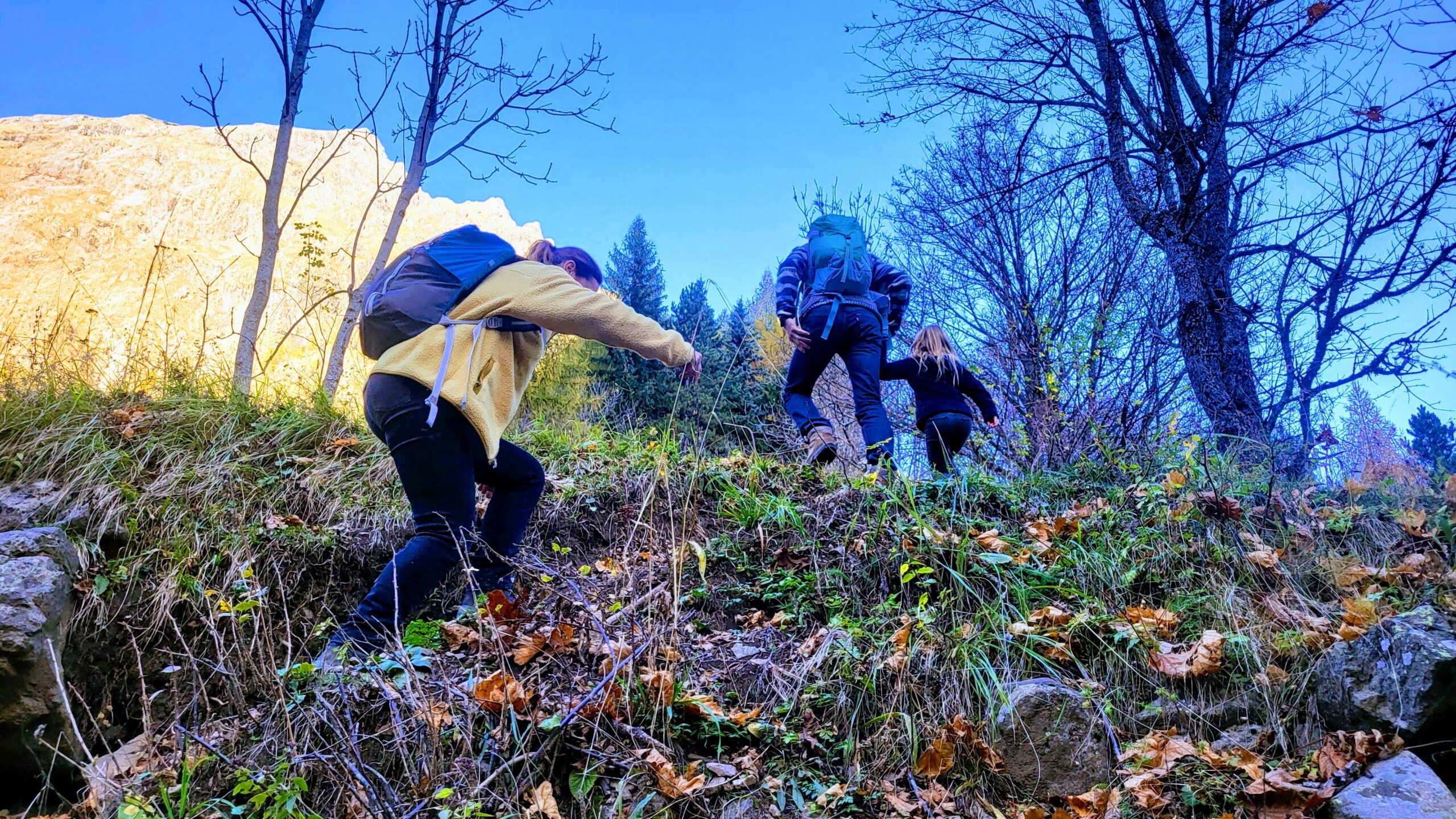 Fysieke en Technische Skills