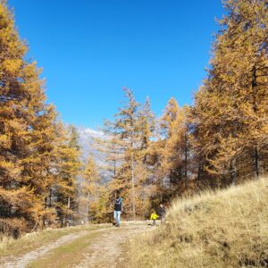 Vier de herfst bij Maison Outhera 2026